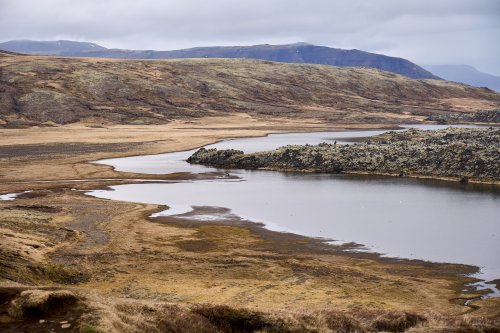 _DSC7334