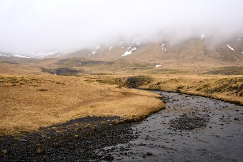 _DSC7350