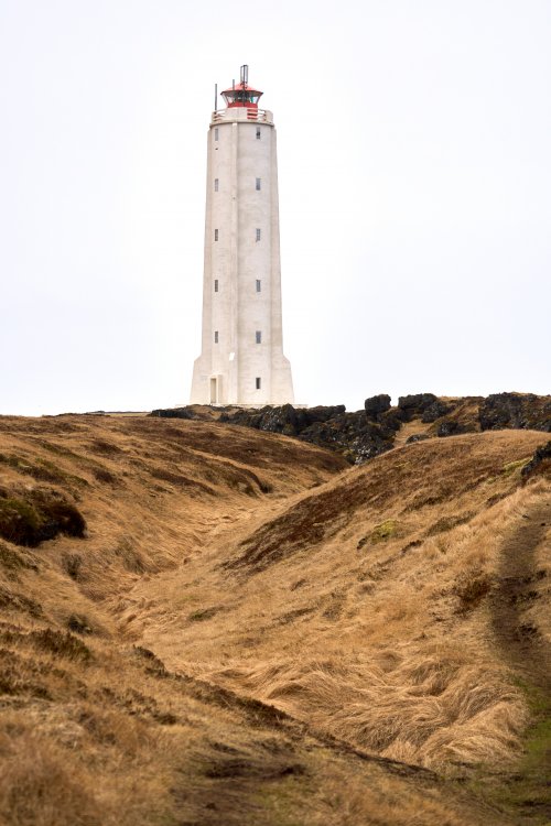 _DSC7394