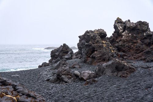 _DSC7403