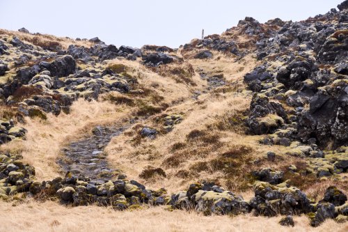 _DSC7443
