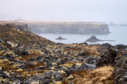 _DSC7468