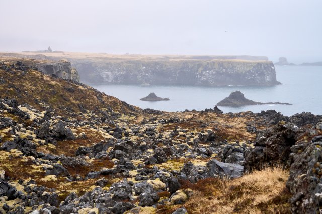 _DSC7468