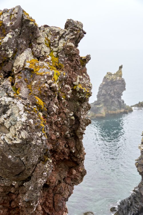 _DSC7475