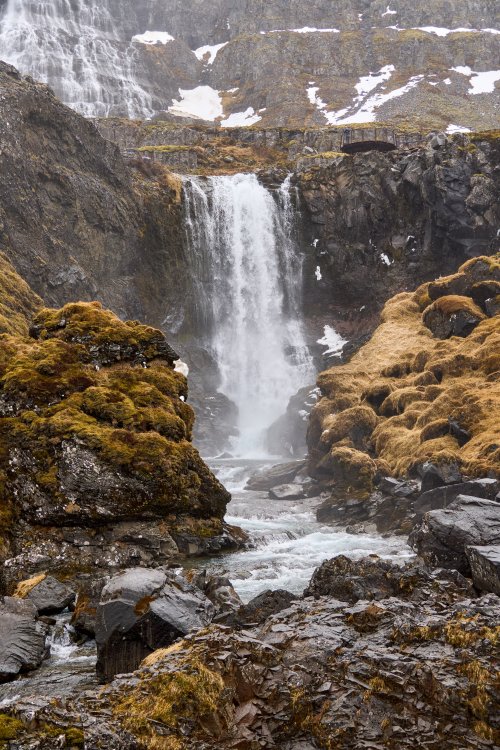 _DSC7621