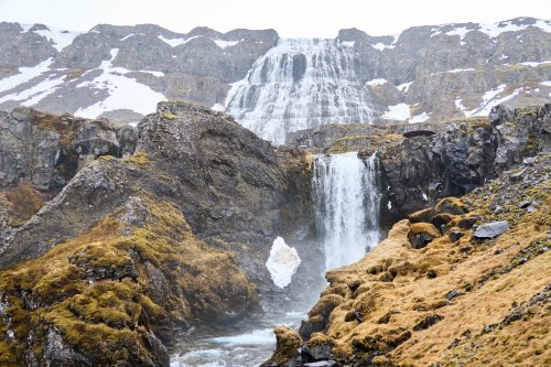 _DSC7630