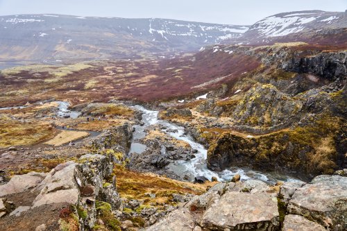_DSC7644
