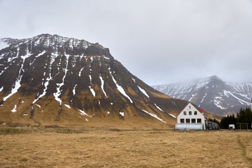 _DSC7693
