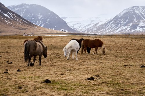 _DSC7703