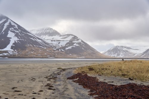_DSC7719
