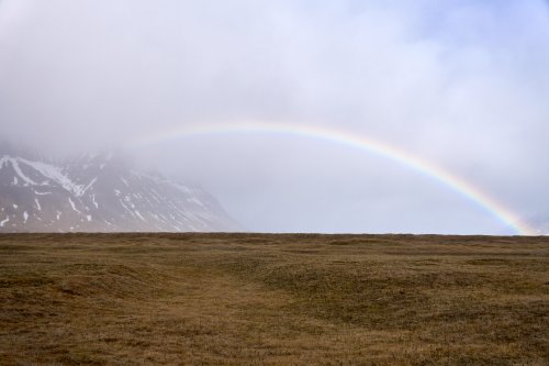 _DSC7722