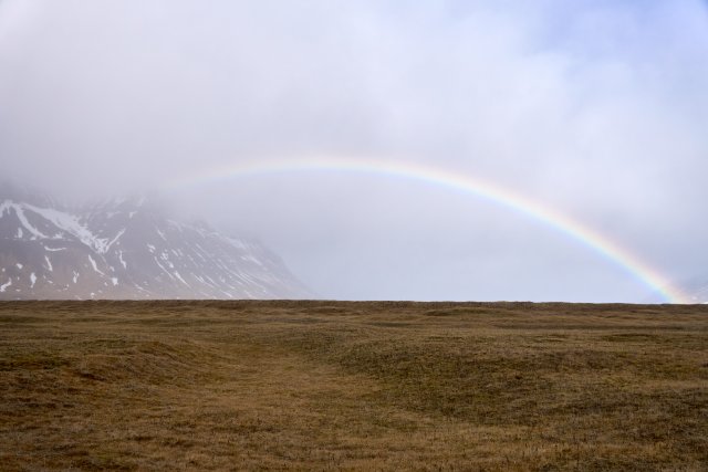_DSC7722