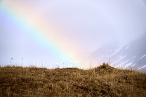 _DSC7725