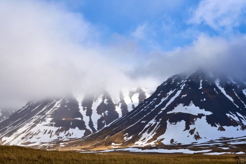 _DSC7728