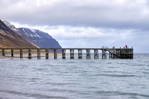 _DSC7769