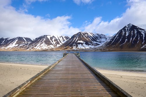 _DSC7780