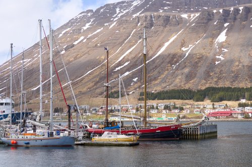 _DSC7809