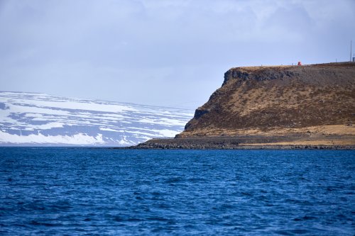 _DSC7821