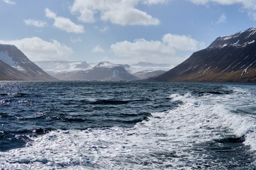 _DSC7833