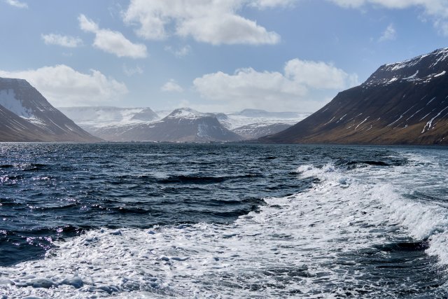 _DSC7833