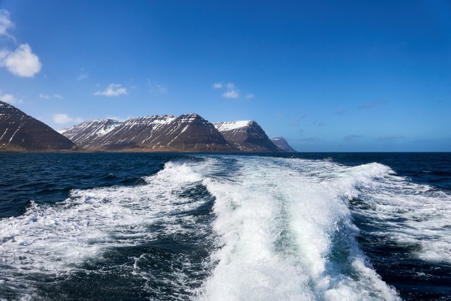 _DSC7846