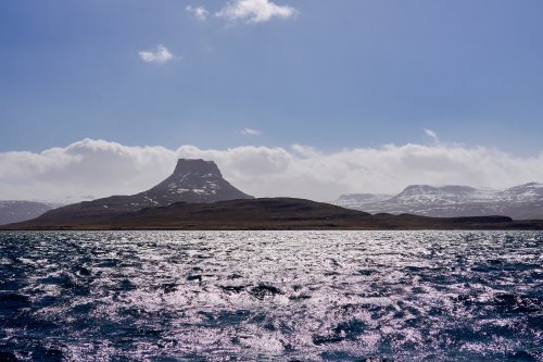 _DSC7856
