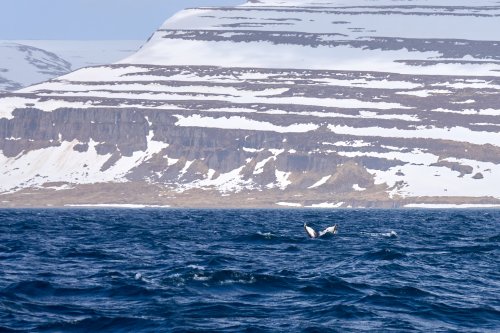 _DSC7880