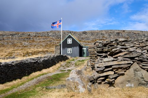 _DSC8037