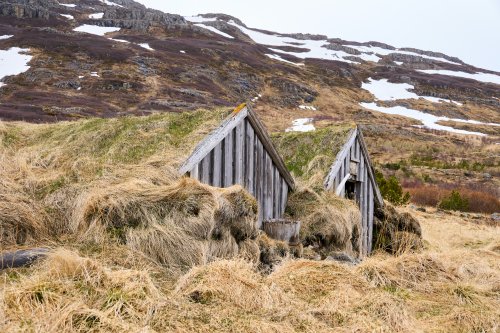 _DSC8059