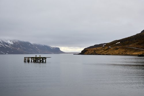 _DSC8081