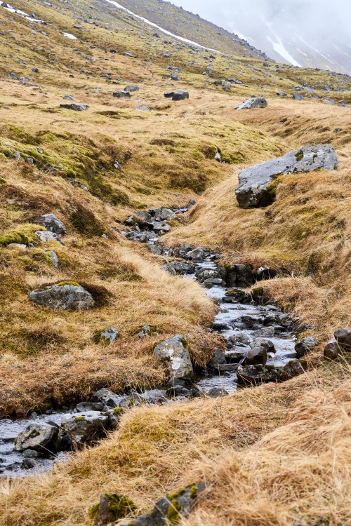 _DSC8094