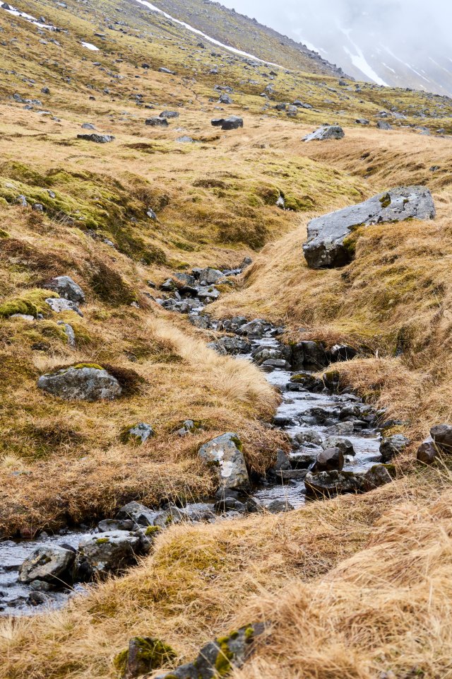 _DSC8094