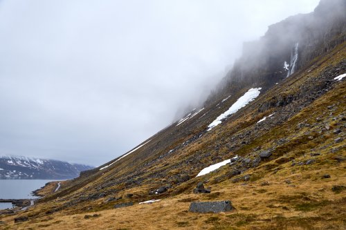 _DSC8099
