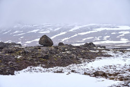 _DSC8174