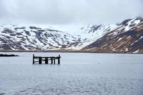 _DSC8255