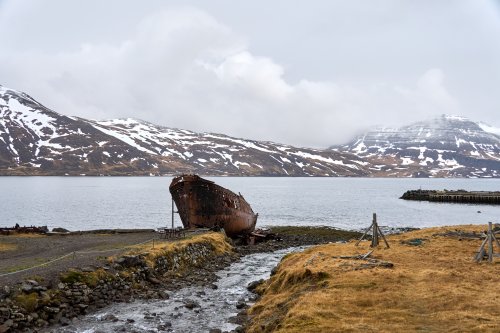 _DSC8278