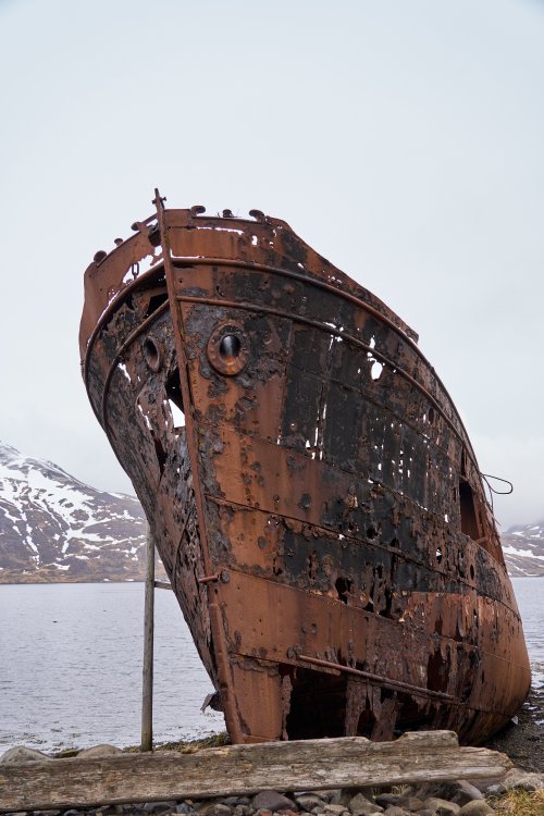 _DSC8286