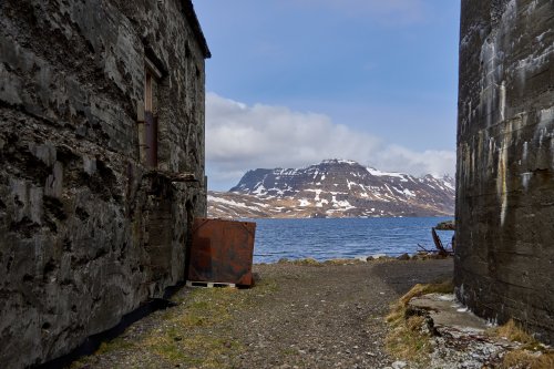 _DSC8346