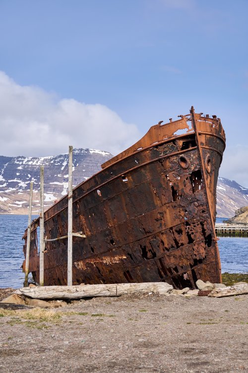 _DSC8356