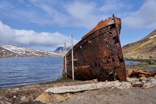 _DSC8385