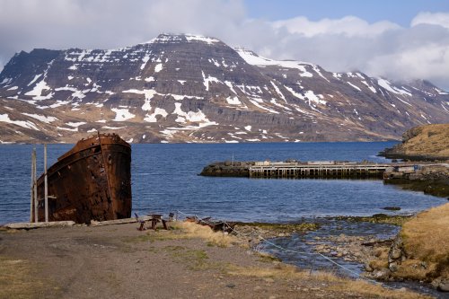 _DSC8401