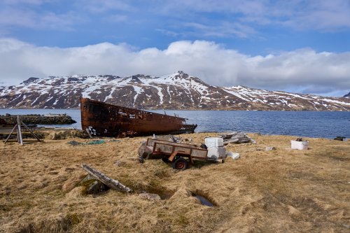 _DSC8418