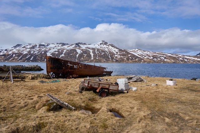 _DSC8418