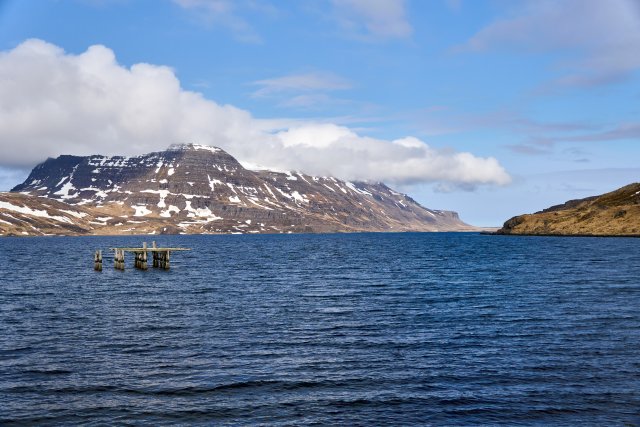_DSC8448