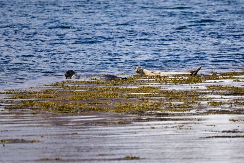 _DSC8459