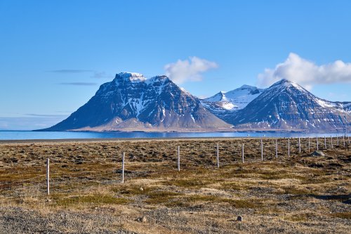 _DSC8497