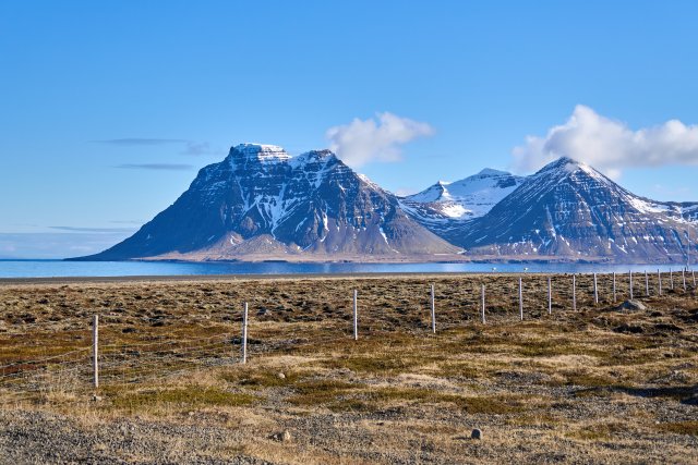 _DSC8497