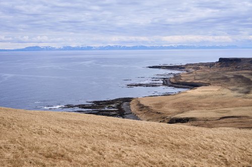 _DSC8520