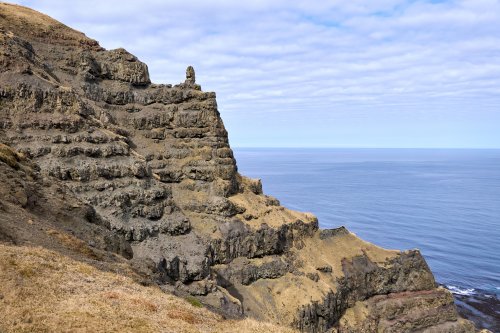 _DSC8526