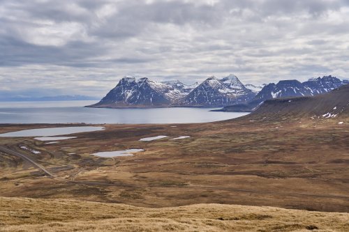 _DSC8564